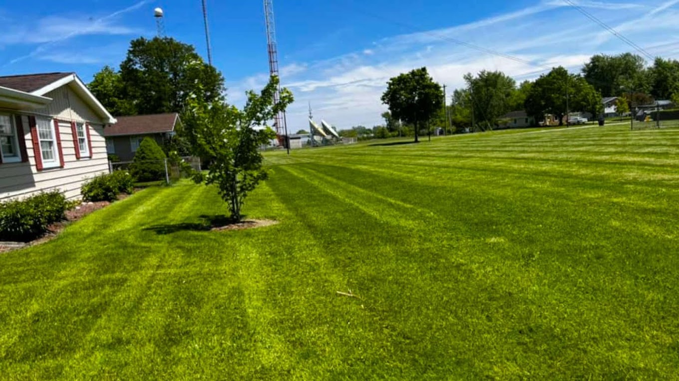 Lawn Care Example 6